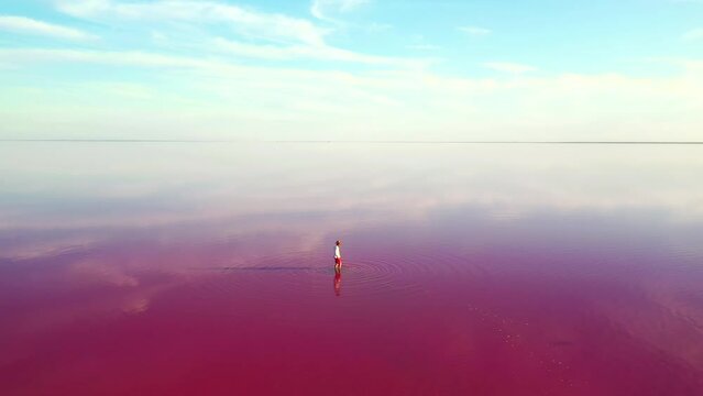 Incredible view from the drone on the pink salt marsh with a calm water surface. Filmed in 4k video.