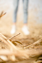 Jumping in the field. Blur