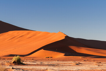 Plakat Dunes in the Namib Desert / Dunes in the Namib Desert to the horizon, Namibia, Africa.