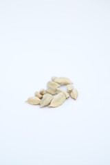 The Queen of Spices  CARDAMOM is one of the most exotic and highly prized of spices. It has a very pleasant aroma and flourishes well on the cool, shaded slopes of the Western ghats