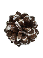 pine cones with painted plates, isolated on a white background