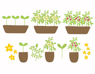 Obraz premium Spring Set of potted Plants, flower seedlings, Flat illustration