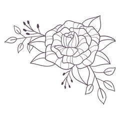 Isolated outline of a flower Vector