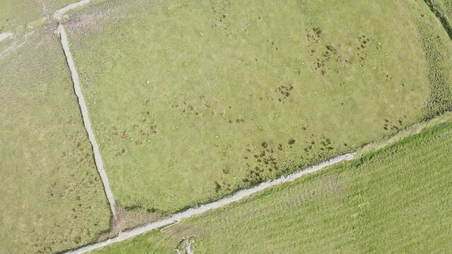 Pasture