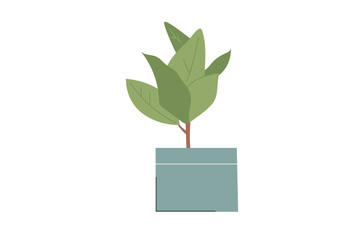 Minimalistic ficus in a pot. Indoor exotic plant in trendy colors. Vector illustration in flat cartoon style isolated on white background