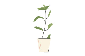 Minimalistic  crotton petra  in a pot. Indoor exotic plant in trendy colors. Vector illustration in flat cartoon style isolated on white background