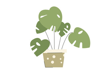 Minimalistic monstera in a pot. Indoor exotic plant in trendy colors. Vector illustration in flat cartoon style isolated on white background