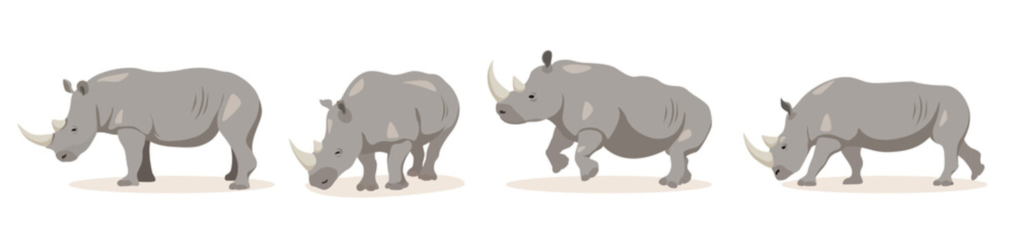 Set of rhinoceros in different angles and emotions in cartoon style. Vector illustration of herbivorous African animals isolated on white background.
