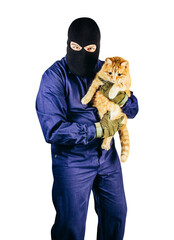 Isolated photo of robber in mask, overalls, gloves stealing cat on white background.