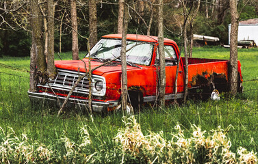 A crashed vintage truck with trees growing through it