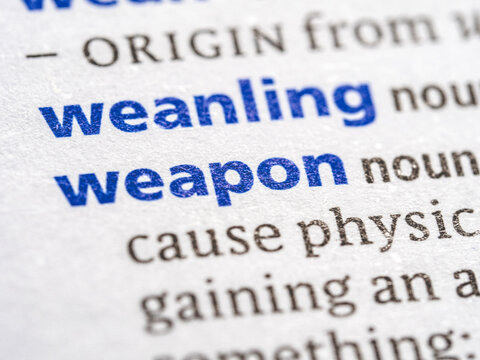 Weapon - English dictionary definition of the word - photo of a dictionary page with paper grain texture - selective focus on the word