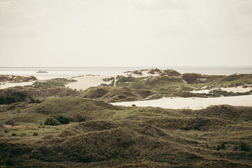 Hügelige Dünenlandschaft auf der Nordfiresland Insel Amrum