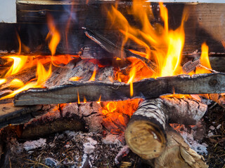 Burning fire. The fire burns in the forest. Texture of burning coals. Campfire for cooking in the forest. burning dry branches. © Максим