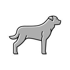 rottweiler dog color icon vector illustration