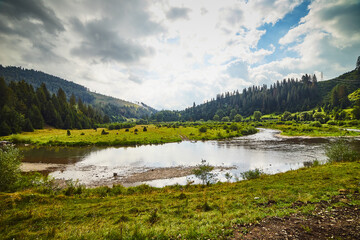 Mountain river landscape in summer, outdoor travel background, Transcarpathia (Zakarpattia), Ukraine