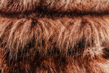 Backdrop close-up photo texture of brown colored animal fur material.
