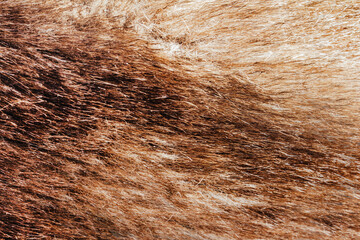 Backdrop close-up photo texture of brown colored animal fur material.
