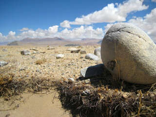 Obraz premium stones in the desert