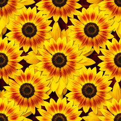 Dwarf Music Box Sunflowers flowers seamless pattern design on dark red background. Can be tiled