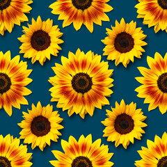 Dwarf Music Box Sunflowers flowers seamless pattern design on dark background. Can be tiled