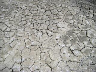 dry earth in the desert