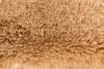 Backdrop close-up photo texture of brown colored animal fur material.