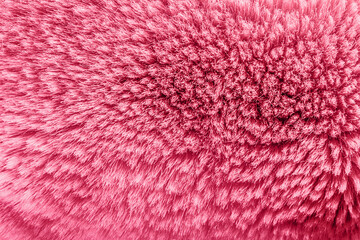Backdrop close-up photo texture of pink colored animal fur material.
