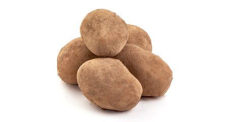 Fototapeta premium Unwashed potatoes, isolated on white background.