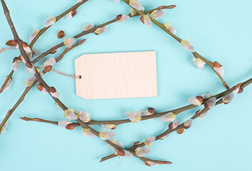 Easter holiday and springtime background, branches of pussy willow, greeting card, spring season, blue color, copy space for text