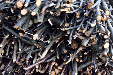 finely chopped branches, a bunch of brushwood, close-up, as a texture for a background