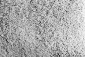 Backdrop close-up photo texture of light colored fur material.