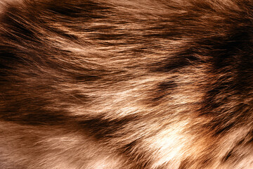 Backdrop close-up photo texture of brown colored animal fur and hair material.