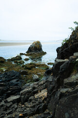 Fototapeta na wymiar Rock Formations on the Oregon Coast