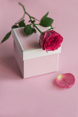 Gift or gift box and a beautiful rose flower on a pink background. Postcard for women's day or mother's day. Product display space with blank, promotional products design.