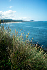 Otter Crest Beach on the Oregon Coast