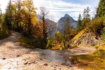 Fototapeta na wymiar Hiking path with autumn colours in the austrian Alps
