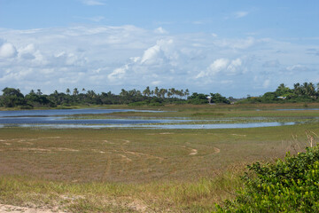 view of a lake rented by several trees