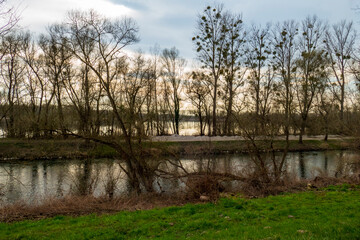 Rheinseitengraben Kanal Landschaft bei Iffezheim