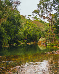 Fototapeta na wymiar river in the brazilian forest