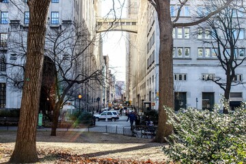 New York buildings street park