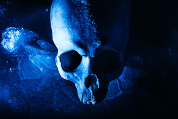 Horror scary photo of human skull laying on cracked ice surface ground, upper view.