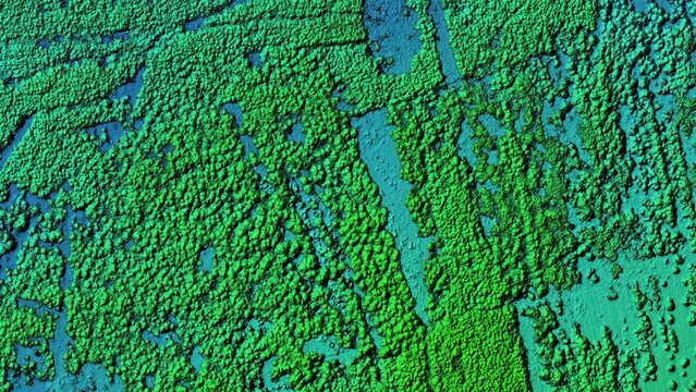 Animation of digital elevation model. Hipsometric photo taken from a drone. It shows forest area during recultivation with a lot of trees.	

