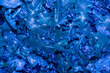 Photo of blue toned frozen grass and leaves covered in ice on dark texture background.