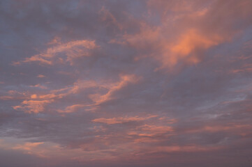 Naklejka na ściany i meble Blue and Pink Sunset Sky