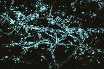 Photo of blue toned frozen tree branches covered in ice on dark background.