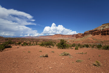Capitol Reef National Park, Utah