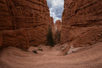 Bryce Canyon National Park, Utah
