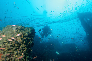 Fototapeta premium Relitto del piroscafo Bolzaneto con reti aggrovigliate e sub in esplorazione