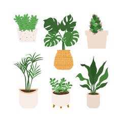 Urban jungle illustration, trendy home decor with plants, monstera, cactus, jade, burros tail, kentia, cast iron, tropical leaves in stylish planters and pots.