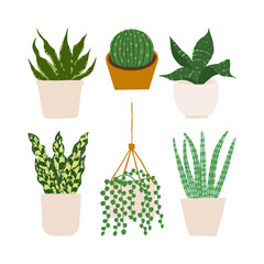 Urban jungle illustration, trendy home decor with plants, cactus, string of pearls, sansevieria, succulent,tropical leaves in stylish planters and pots.